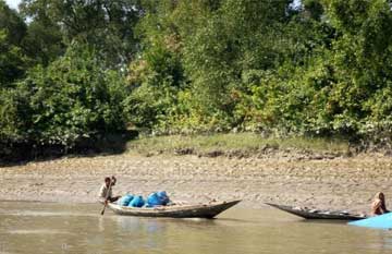 sundarban07